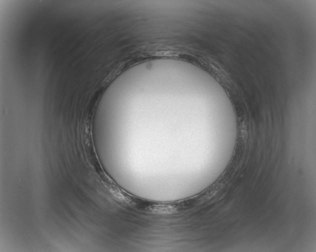 X0000083650322200702120843
