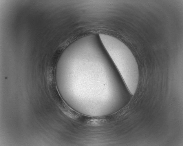 X0000083650323200702120843