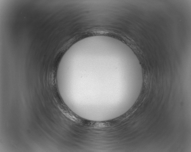 X0000083650330200702120843