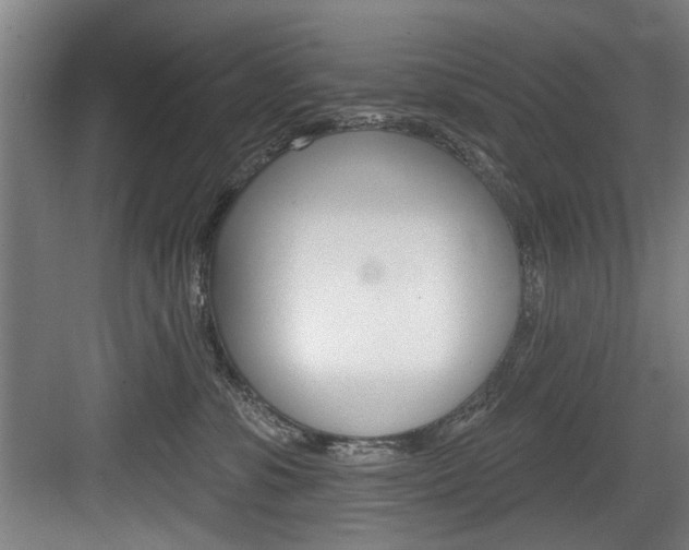 X0000083650331200702120843