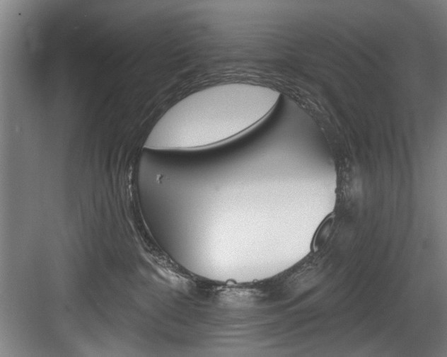 X0000083650332200702120843