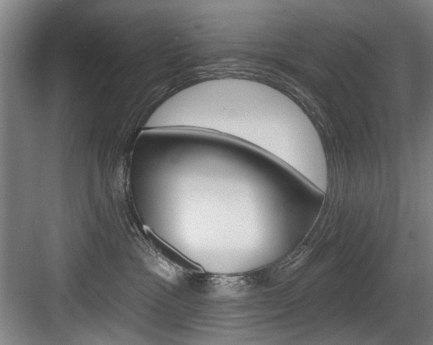 X0000083650333200702120843