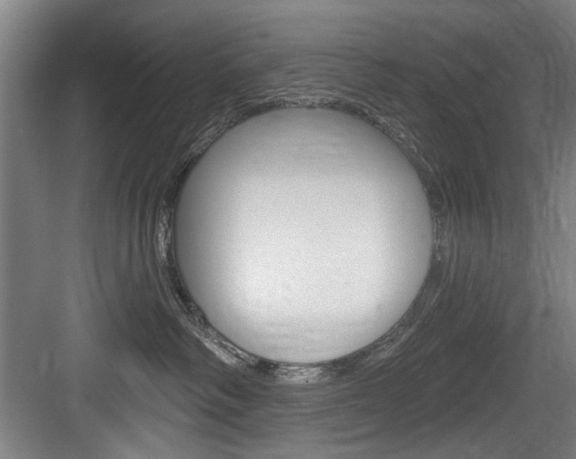 X0000083650334200702120843