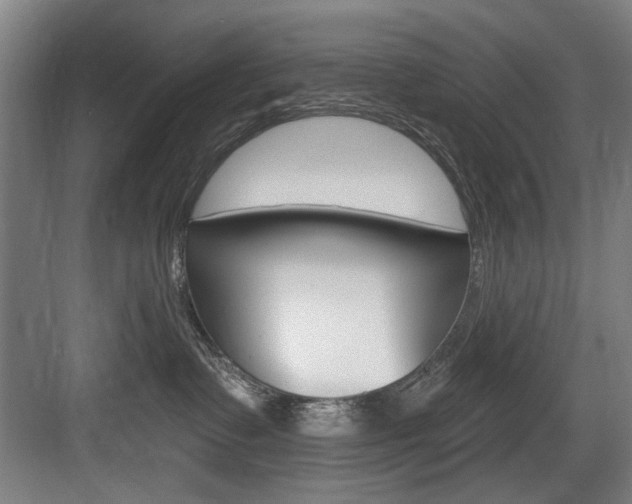 X0000083650335200702120843