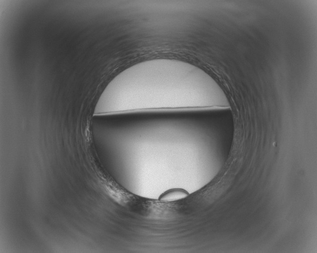 X0000083650336200702120843
