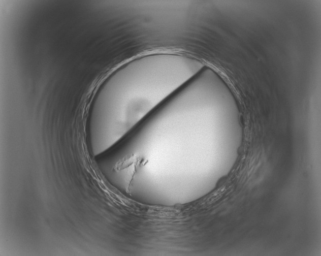 X0000083650337200702120842