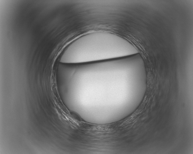 X0000083650338200702120842