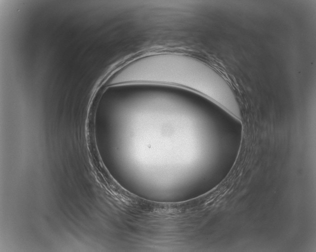 X0000083650340200702120842
