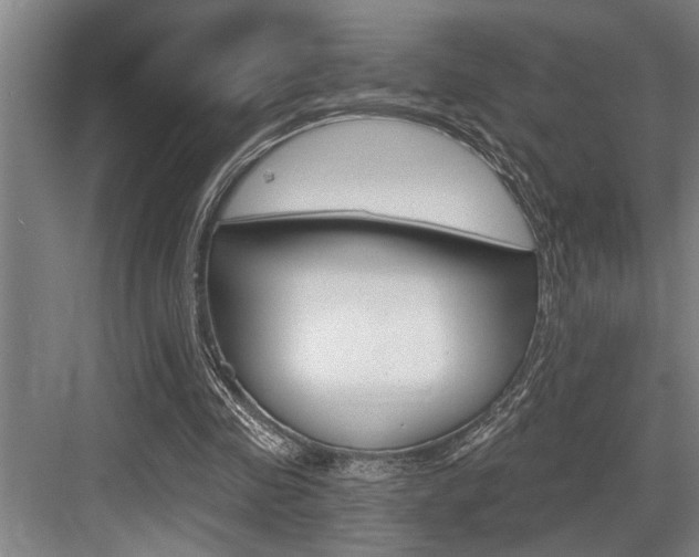 X0000083650341200702120842