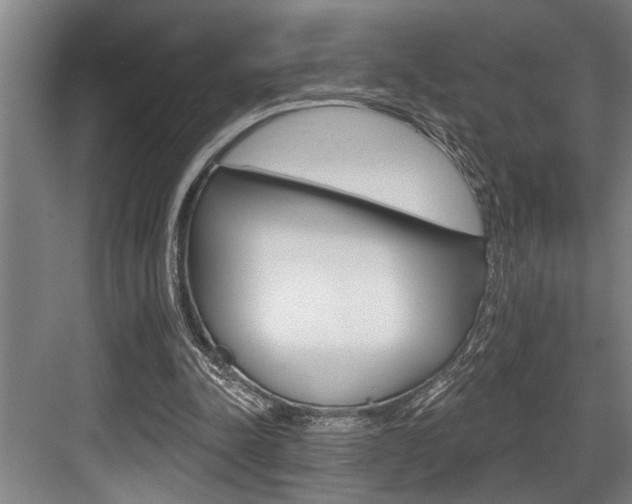 X0000083650342200702120842