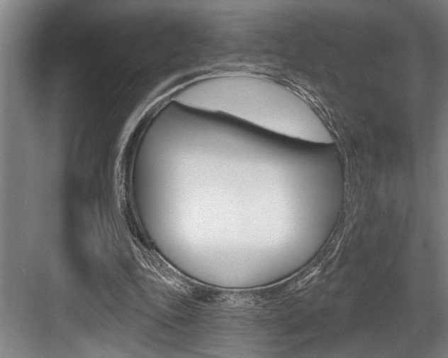 X0000083650343200702120842