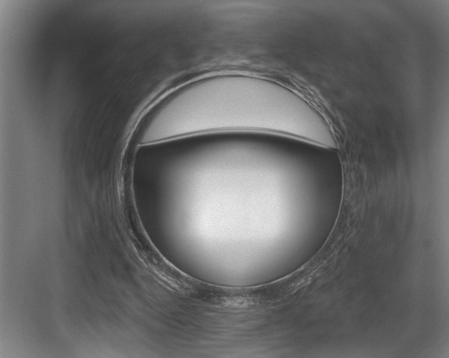 X0000083650344200702120842