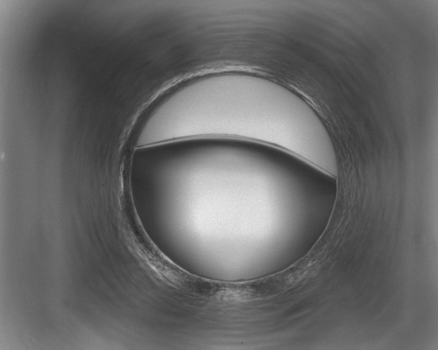 X0000083650350200702120842