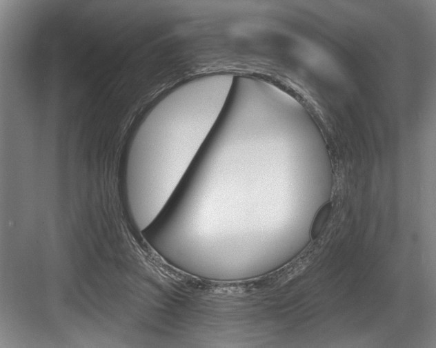 X0000083650353200702120842