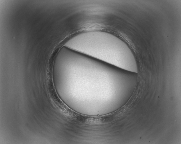 X0000083650354200702120842