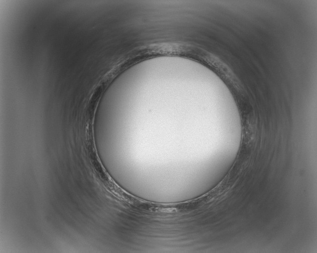 X0000083650355200702120842