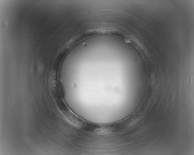 X0000083650356200702120842