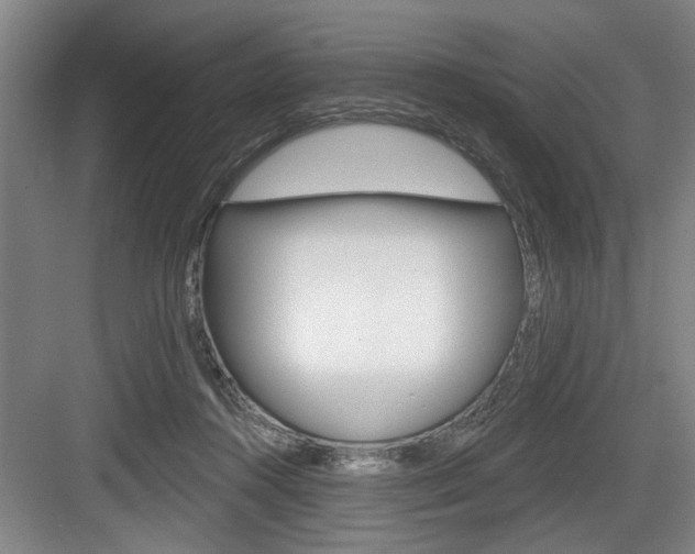 X0000083650360200702120842