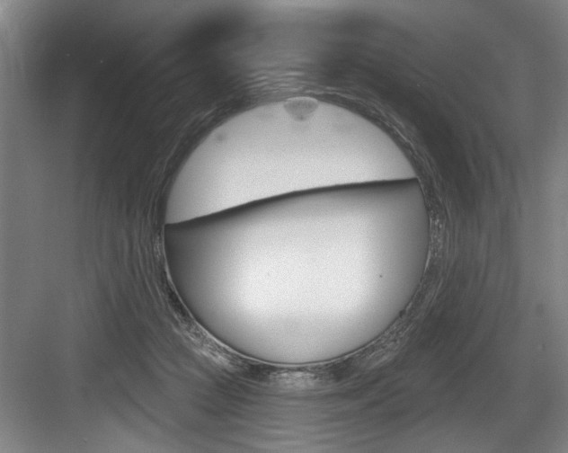 X0000083650361200702120842