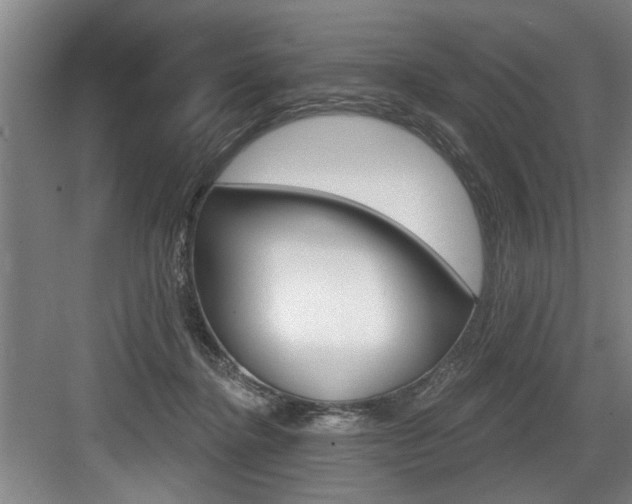 X0000083650364200702120842