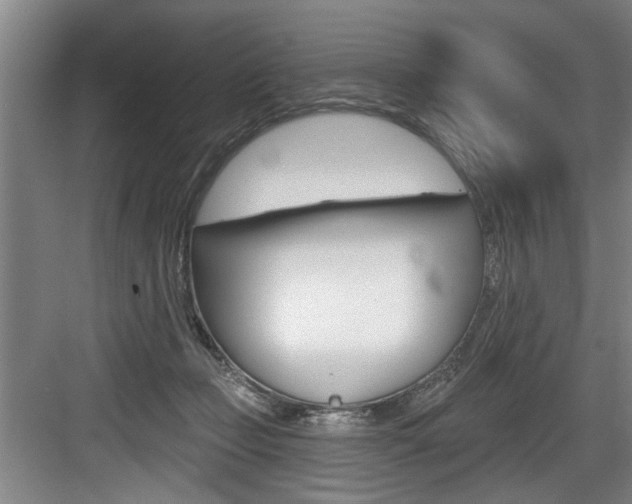 X0000083650365200702120842