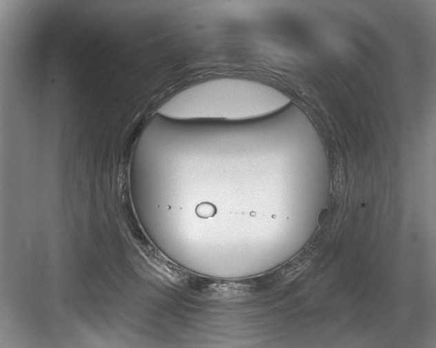 X0000083650367200702120842