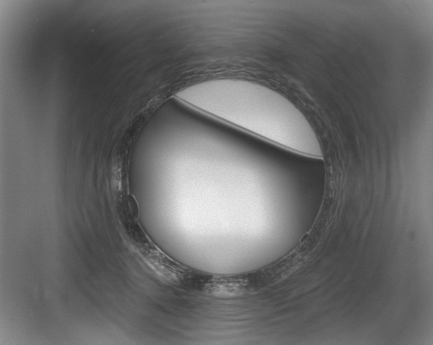 X0000083650368200702120842