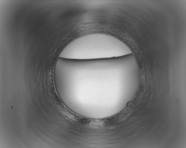 X0000083650369200702120842