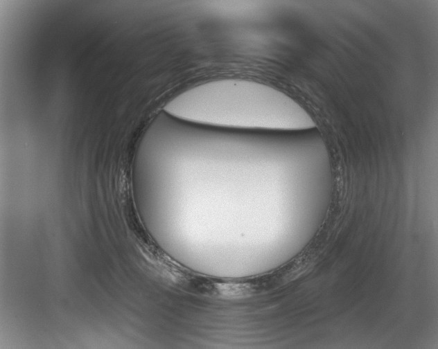 X0000083650371200702120842