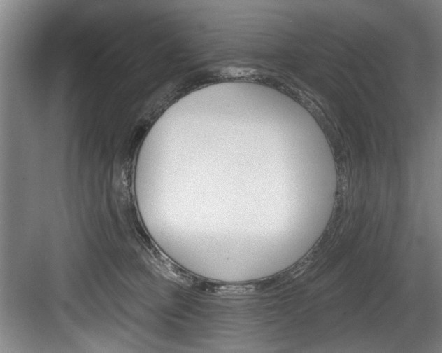 X0000083650373200702120842