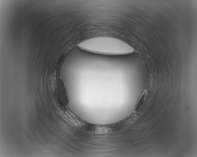 X0000083650376200702120842