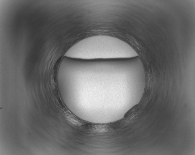 X0000083650377200702120842