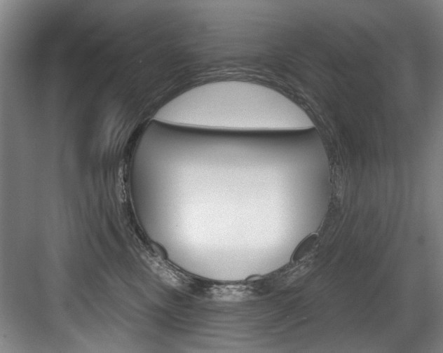 X0000083650378200702120842