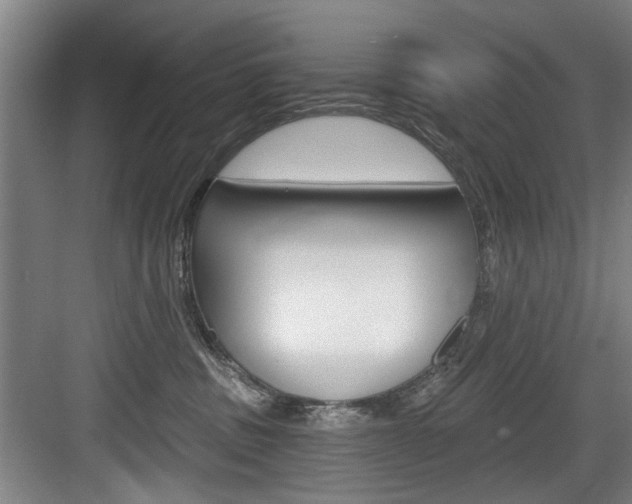 X0000083650379200702120842