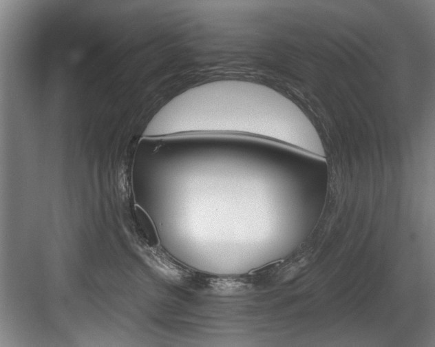 X0000083650380200702120842