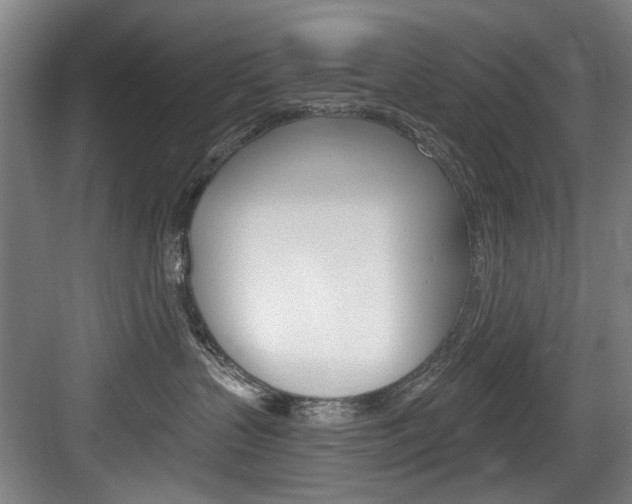 X0000083650383200702120842