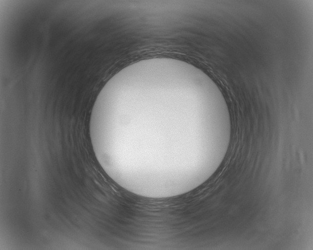 X0000083650384200702120842
