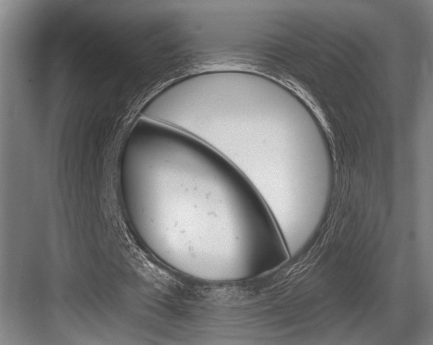 X0000083650385200702120842