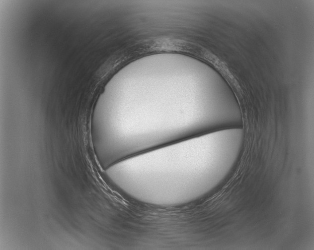 X0000083650386200702120842