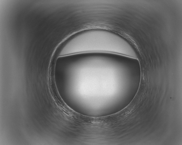 X0000083650388200702120842