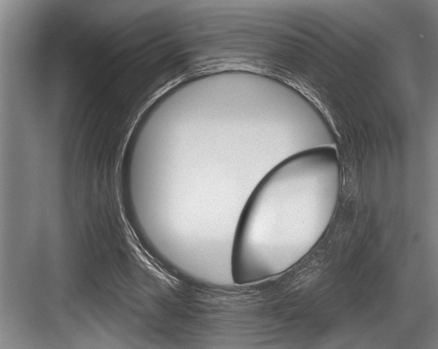 X0000083650390200702120842