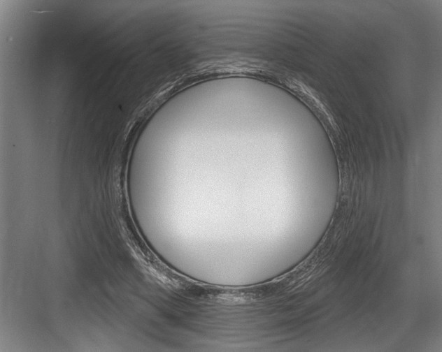 X0000083650394200702120842