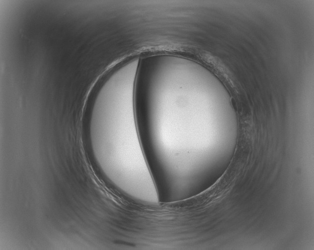 X0000083650395200702120842