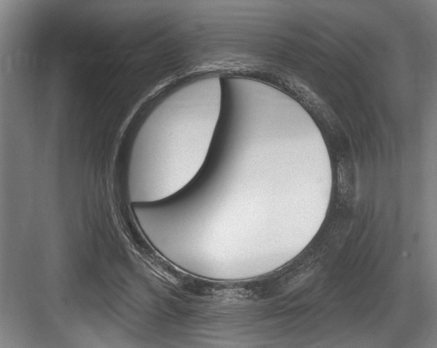 X0000083650396200702120841