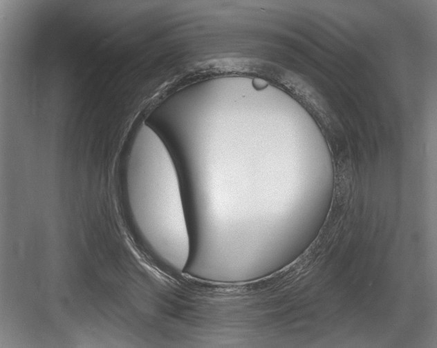 X0000083650398200702120841