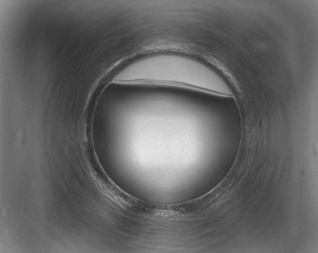 X0000083650399200702120841