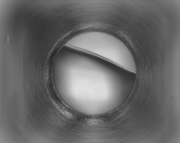 X0000083650400200702120841