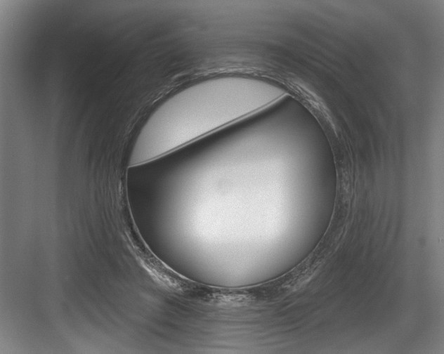 X0000083650401200702120841