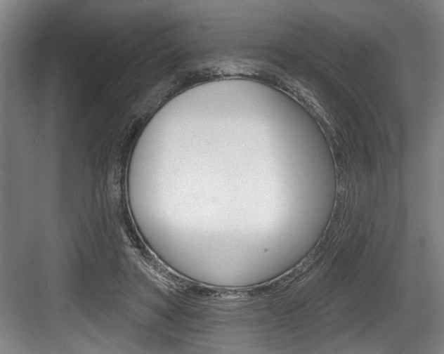 X0000083650402200702120841