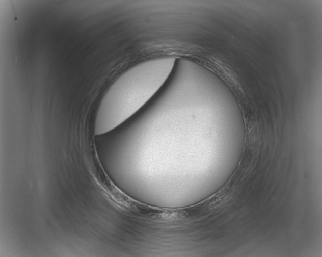 X0000083650406200702120841
